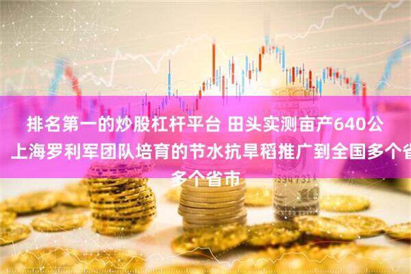 排名第一的炒股杠杆平台 田头实测亩产640公斤，上海罗利军团队培育的节水抗旱稻推广到全国多个省市